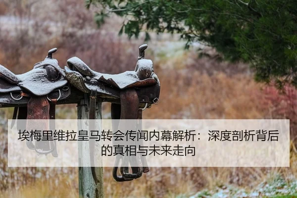 埃梅里维拉皇马转会传闻内幕解析：深度剖析背后的真相与未来走向