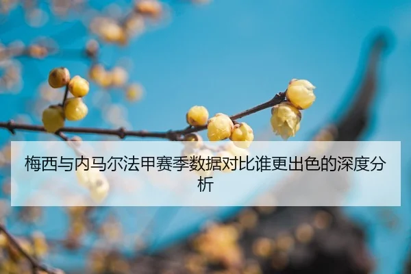 mei-xi-yu-nei-ma-er-fa-jia-sai-ji-shu-ju-dui-bi-shui-geng-chu-se-de-shen-du-fen-xi-2-503.jpg