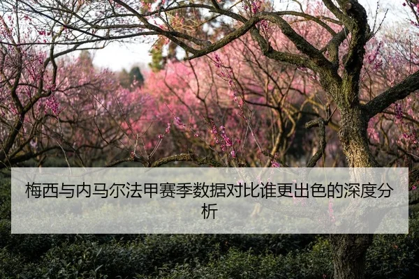 梅西与内马尔法甲赛季数据对比谁更出色的深度分析