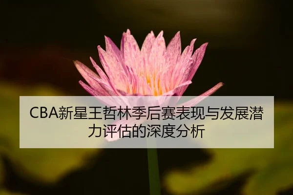 xin-xing-wang-zhe-lin-ji-hou-sai-biao-xian-yu-fa-zhan-qian-li-ping-gu-de-shen-du-fen-xi-2-790.jpg